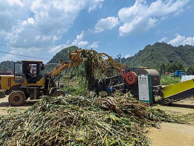 秸稈青貯粉碎機粉碎后的青貯適合多種養(yǎng)殖場使用
